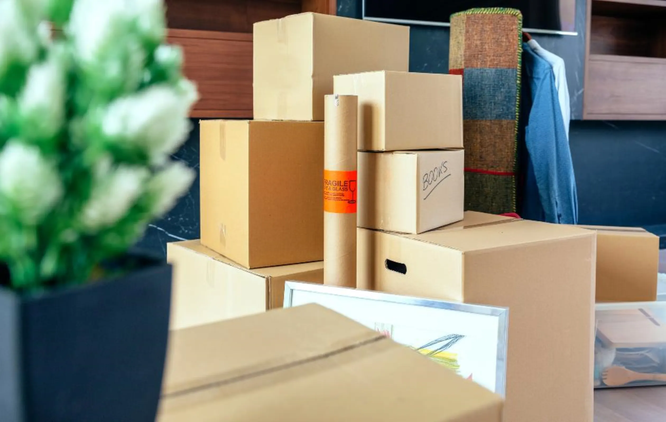 Boxes For Moving: Plastic Containers vs Cardboard Boxes - The